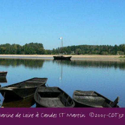 La Loire à Candes St Martin