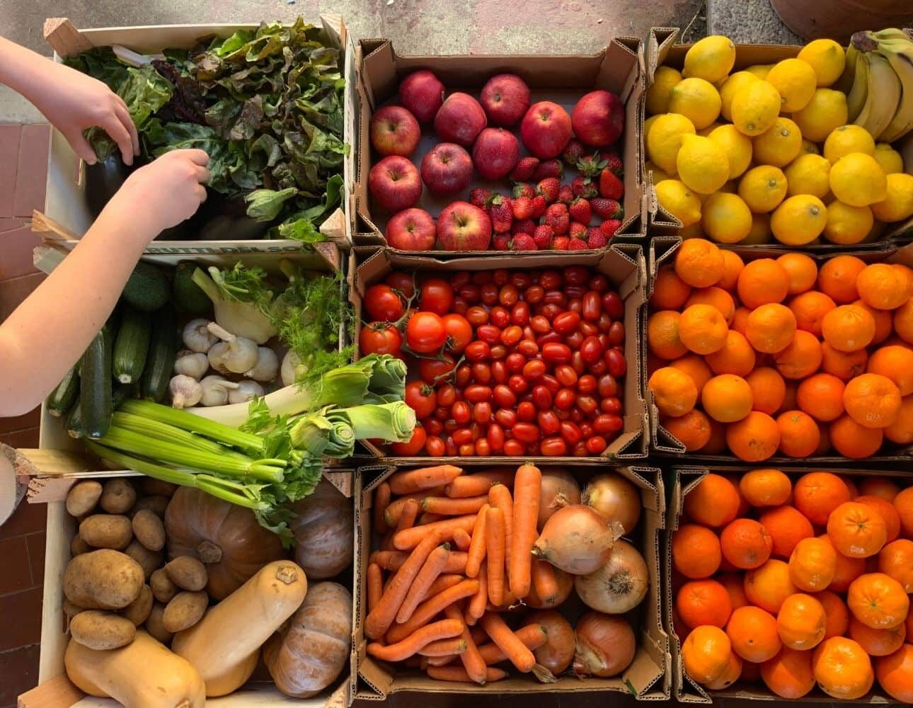 mercado de frutas y hortalizas